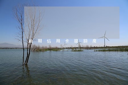 逾期信用卡提额度