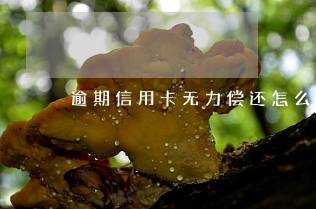 逾期信用卡无力偿还怎么办 逾期信用卡无力偿还怎么办