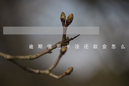 逾期信用卡没还款会怎么样 逾期信用卡没还款会怎么样
