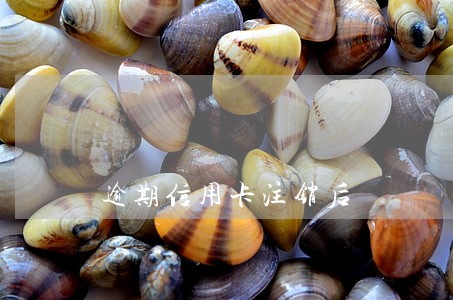 逾期信用卡注销后 逾期信用卡注销后