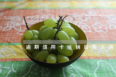 逾期信用卡注销后多久消除记录 逾期信用卡注销后多久消除记录