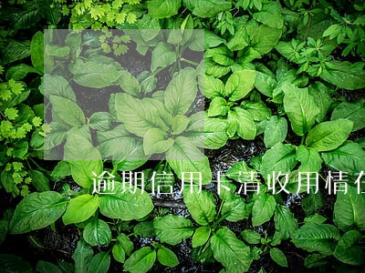 逾期信用卡清收用情在先案例 逾期信用卡清收用情在先案例