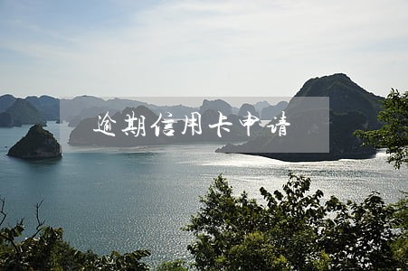 逾期信用卡申请