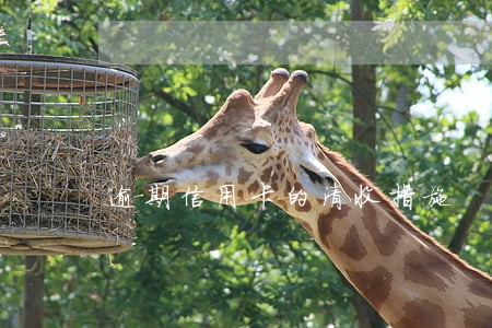 逾期信用卡的清收措施 逾期信用卡的清收措施