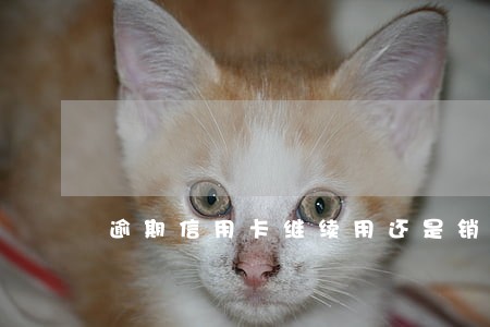 逾期信用卡继续用还是销卡