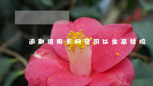 逾期信用卡网贷可以坐高铁吗