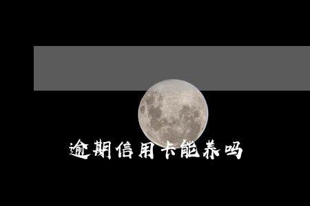逾期信用卡能养吗