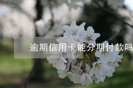 逾期信用卡能分期付款吗 逾期信用卡能分期付款吗