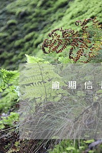 逾期信用卡能办分期吗 逾期信用卡能办分期吗