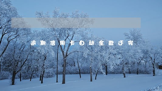 逾期信用卡自动全款还完 逾期信用卡自动全款还完