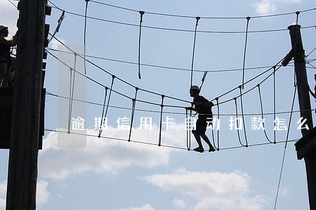逾期信用卡自动扣款怎么取消 逾期信用卡自动扣款怎么取消