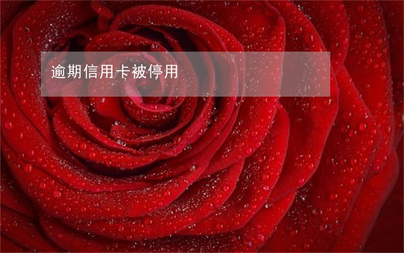 逾期信用卡被停用 逾期信用卡被停用