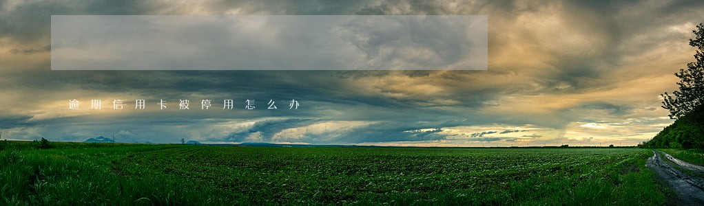逾期信用卡被停用怎么办 逾期信用卡被停用怎么办