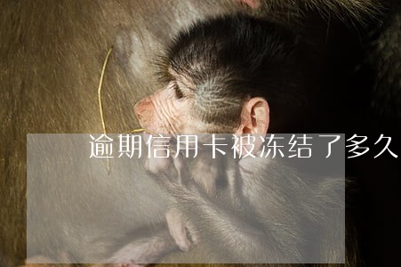逾期信用卡被冻结了多久自动解冻 逾期信用卡被冻结了多久自动解冻