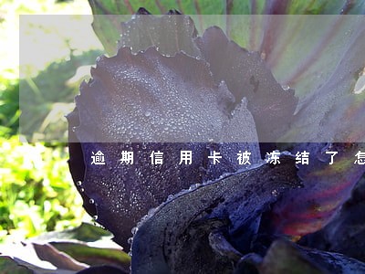 逾期信用卡被冻结了怎么投诉
