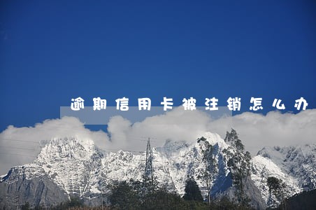 逾期信用卡被注销怎么办理吗 逾期信用卡被注销怎么办理吗