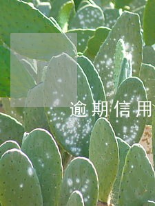 逾期信用卡被管制