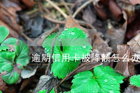 逾期信用卡被降额怎么办 逾期信用卡被降额怎么办