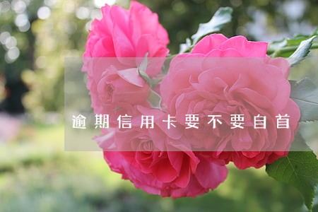 逾期信用卡要不要自首