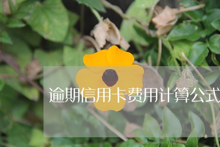 逾期信用卡费用计算公式 逾期信用卡费用计算公式