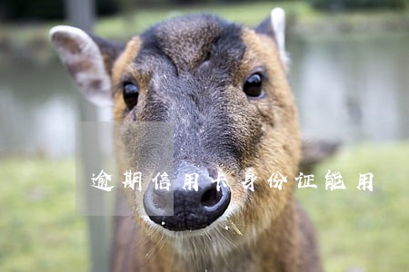 逾期信用卡身份证能用 逾期信用卡身份证能用