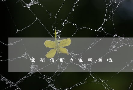 逾期信用卡返回当地 逾期信用卡返回当地