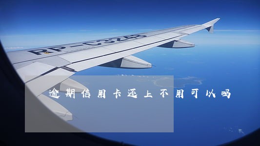 逾期信用卡还上不用可以吗 逾期信用卡还上不用可以吗