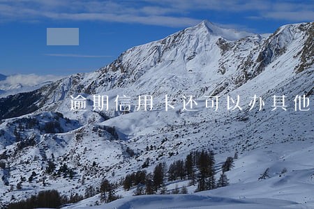 逾期信用卡还可以办其他储蓄卡吗 逾期信用卡还可以办其他储蓄卡吗