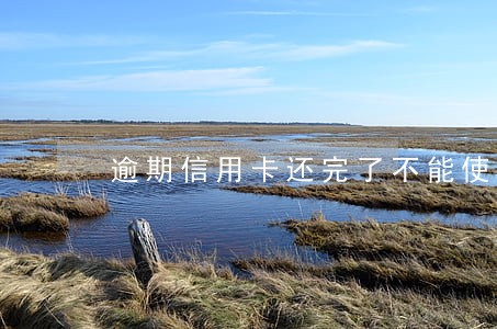 逾期信用卡还完了不能使用