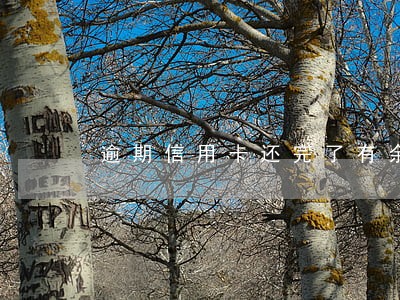逾期信用卡还完了有余额 逾期信用卡还完了有余额