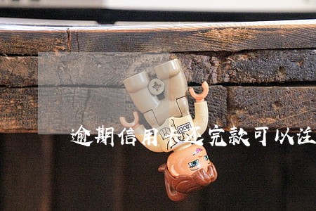逾期信用卡还完款可以注销不 逾期信用卡还完款可以注销不