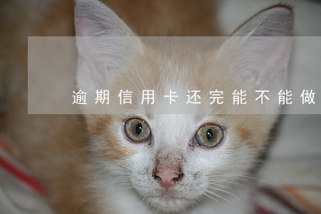 逾期信用卡还完能不能做车贷 逾期信用卡还完能不能做车贷