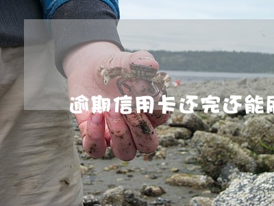 逾期信用卡还完还能刷吗 逾期信用卡还完还能刷吗