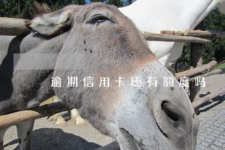 逾期信用卡还有额度吗 逾期信用卡还有额度吗