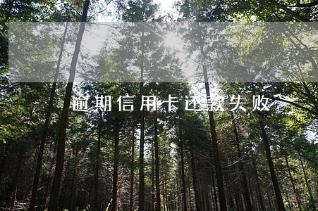 逾期信用卡还款失败 逾期信用卡还款失败