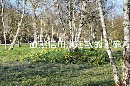 逾期信用卡还款的正确方法
