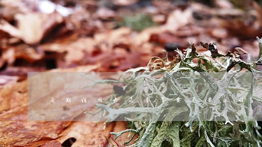 逾期信用卡还清了要不要注销 逾期信用卡还清了要不要注销