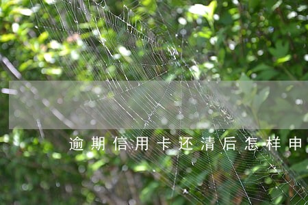 逾期信用卡还清后怎样申请销卡