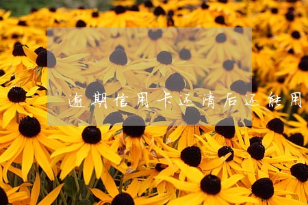 逾期信用卡还清后还能用么 逾期信用卡还清后还能用么