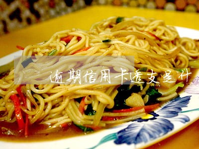 逾期信用卡透支是什么意思 逾期信用卡透支是什么意思