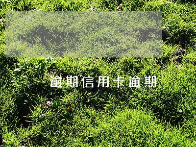 逾期信用卡逾期 逾期信用卡逾期