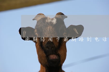 逾期信用卡逾期接到电话