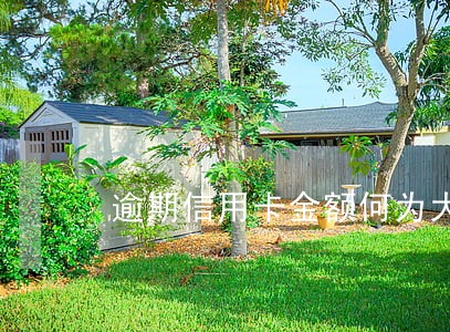 逾期信用卡金额何为大额 逾期信用卡金额何为大额
