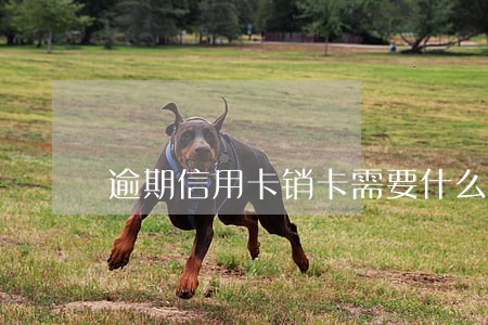逾期信用卡销卡需要什么手续 逾期信用卡销卡需要什么手续