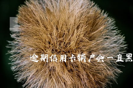 逾期信用卡销户会一直黑户 逾期信用卡销户会一直黑户