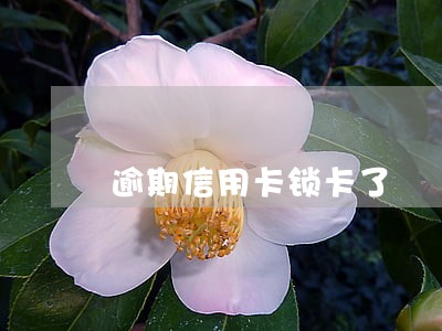 逾期信用卡锁卡了
