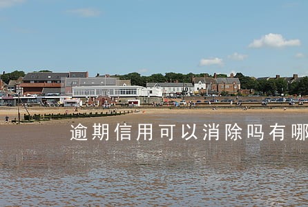 逾期信用可以消除吗有哪些 逾期信用可以消除吗有哪些