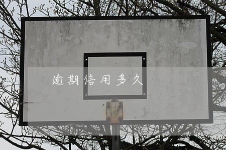逾期信用多久 逾期信用多久