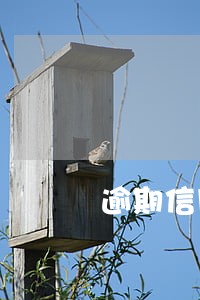 逾期信用怎么办 逾期信用怎么办
