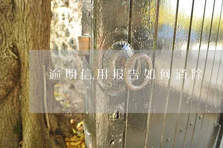 逾期信用报告如何消除